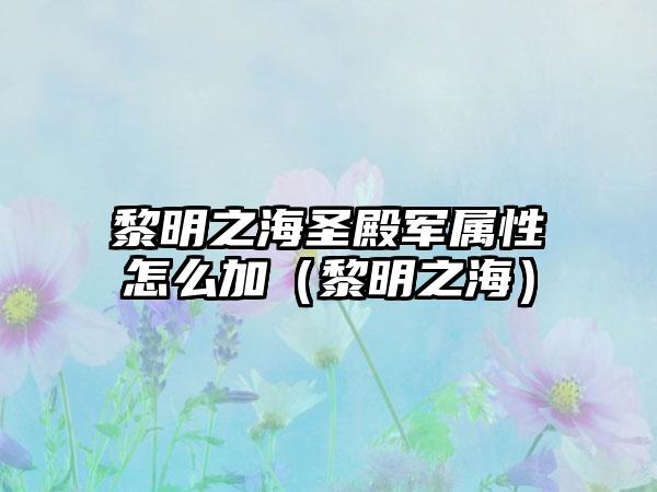 黎明之海圣殿军属性怎么加（黎明之海）