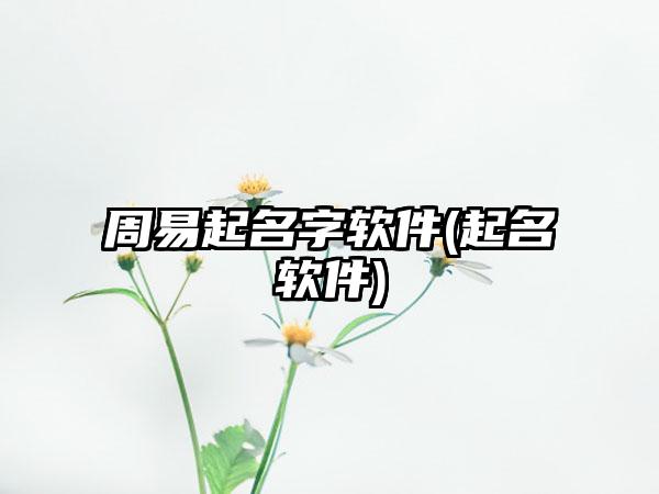 周易起名字软件(起名软件)