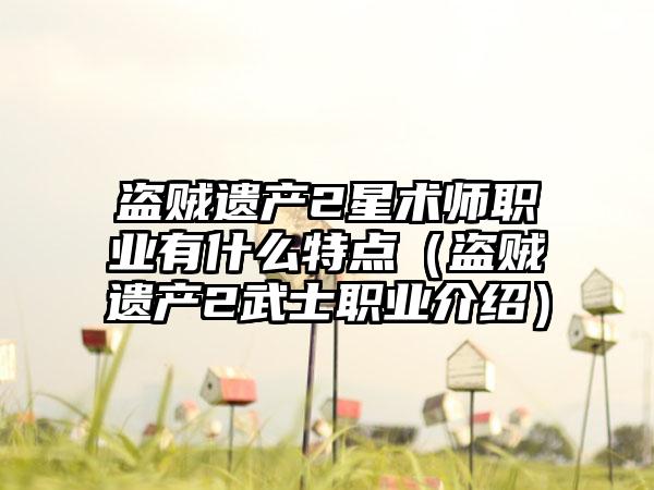 盗贼遗产2星术师职业有什么特点（盗贼遗产2武士职业介绍）