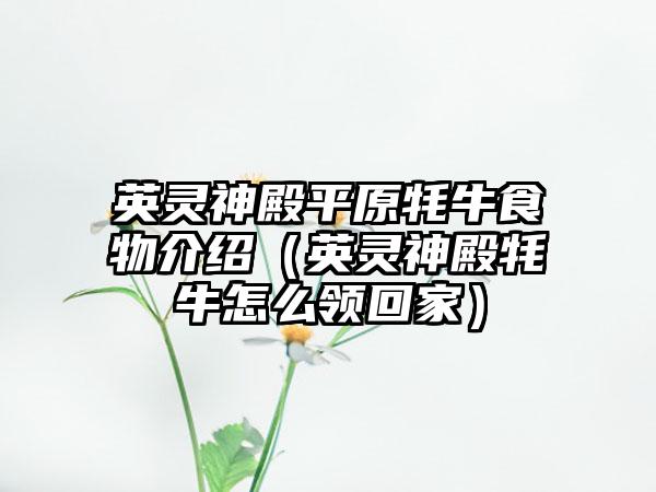 英灵神殿平原牦牛食物介绍（英灵神殿牦牛怎么领回家）