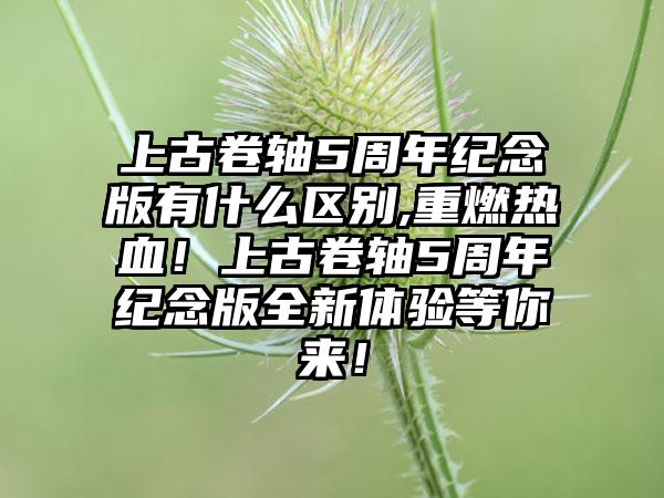 上古卷轴5周年纪念版有什么区别,重燃热血！上古卷轴5周年纪念版全新体验等你来！