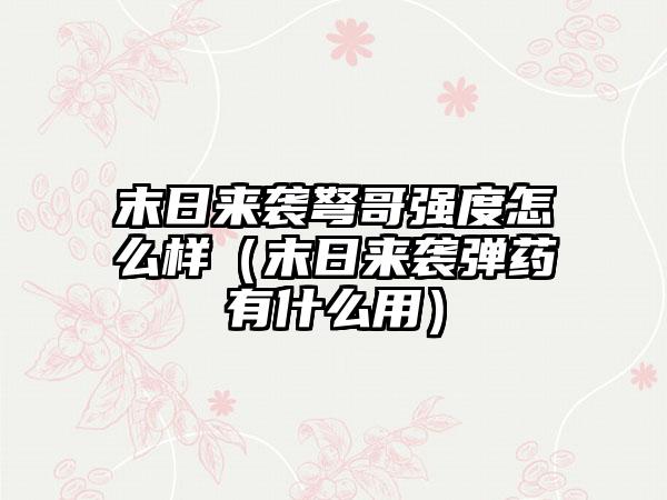 末日来袭弩哥强度怎么样（末日来袭弹药有什么用）