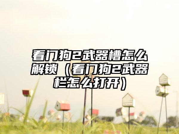 看门狗2武器槽怎么解锁（看门狗2武器栏怎么打开）