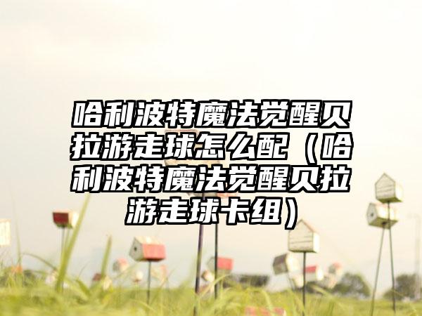 哈利波特魔法觉醒贝拉游走球怎么配（哈利波特魔法觉醒贝拉游走球卡组）