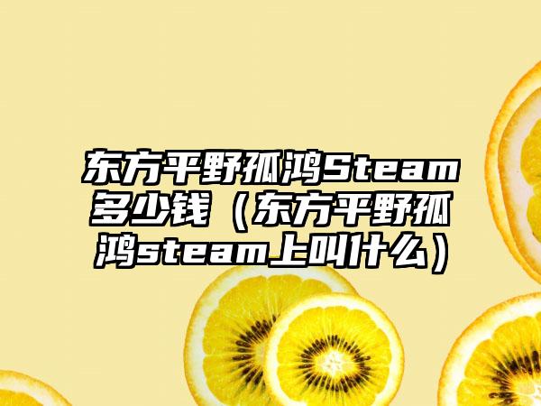 东方平野孤鸿Steam多少钱（东方平野孤鸿steam上叫什么）
