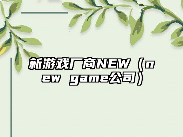 新游戏厂商NEW（new game公司）