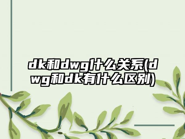 dk和dwg什么关系(dwg和dk有什么区别)