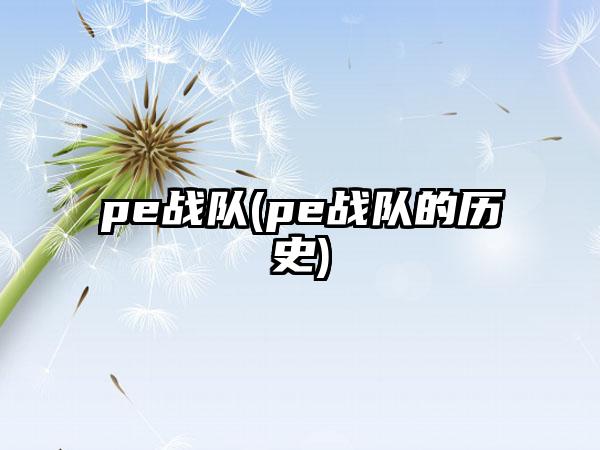 pe战队(pe战队的历史)