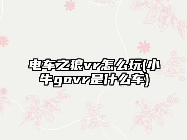 电车之狼vr怎么玩(小牛govr是什么车)