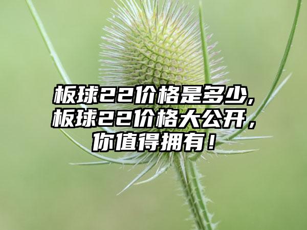 板球22价格是多少,板球22价格大公开，你值得拥有！