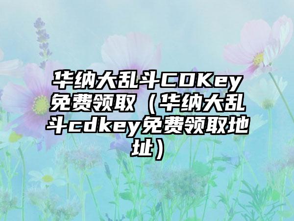 华纳大乱斗CDKey免费领取（华纳大乱斗cdkey免费领取地址）
