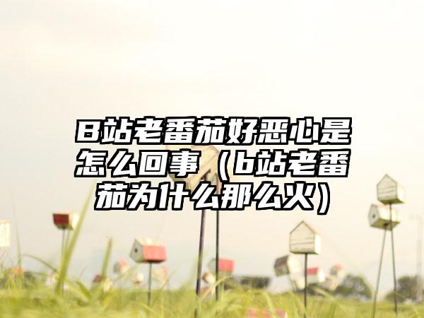 B站老番茄好恶心是怎么回事（b站老番茄为什么那么火）