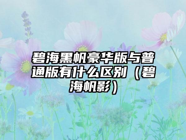 碧海黑帆豪华版与普通版有什么区别（碧海帆影）