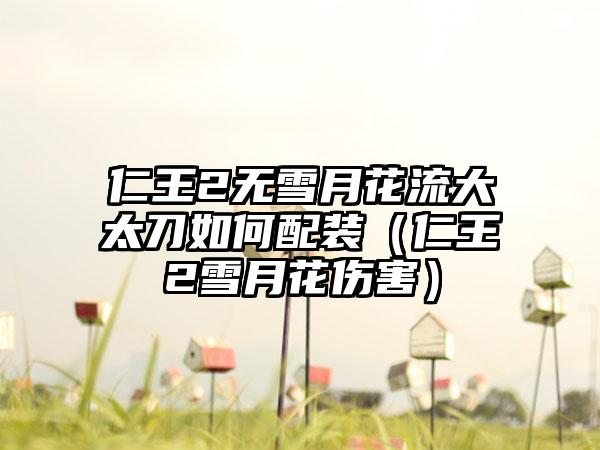 仁王2无雪月花流大太刀如何配装（仁王2雪月花伤害）
