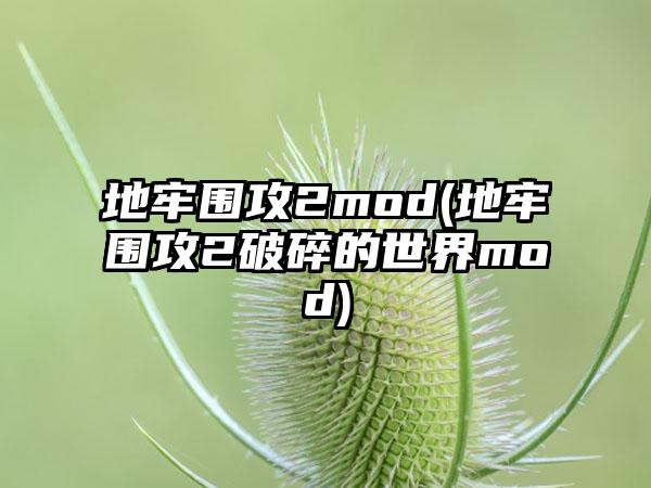 地牢围攻2mod(地牢围攻2破碎的世界mod)