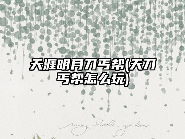 天涯明月刀丐帮(天刀丐帮怎么玩)