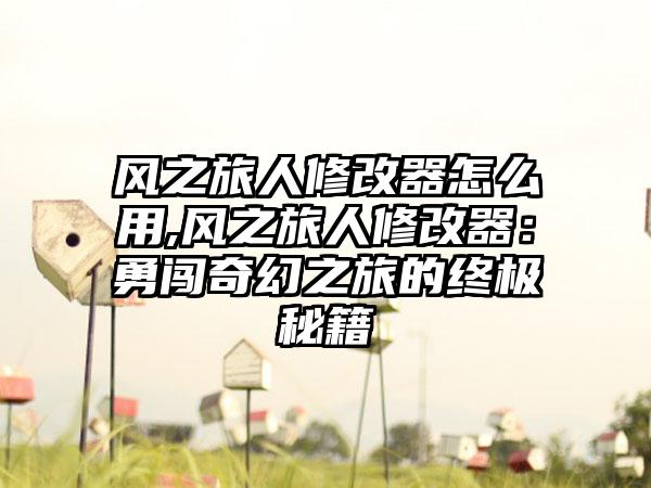 风之旅人修改器怎么用,风之旅人修改器：勇闯奇幻之旅的终极秘籍