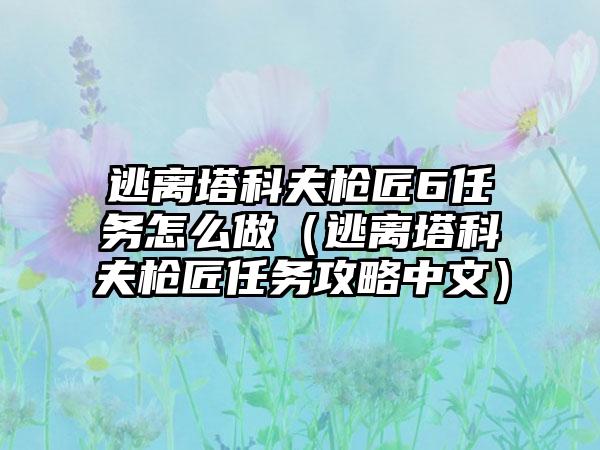 逃离塔科夫枪匠6任务怎么做（逃离塔科夫枪匠任务攻略中文）