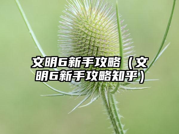 文明6新手攻略（文明6新手攻略知乎）