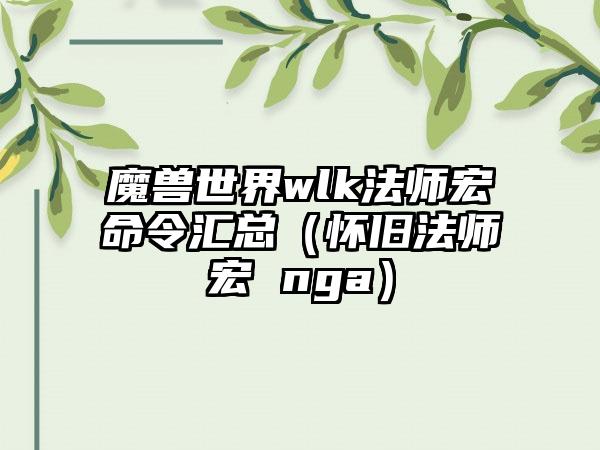魔兽世界wlk法师宏命令汇总（怀旧法师宏 nga）