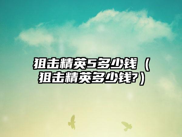 狙击精英5多少钱（狙击精英多少钱?）