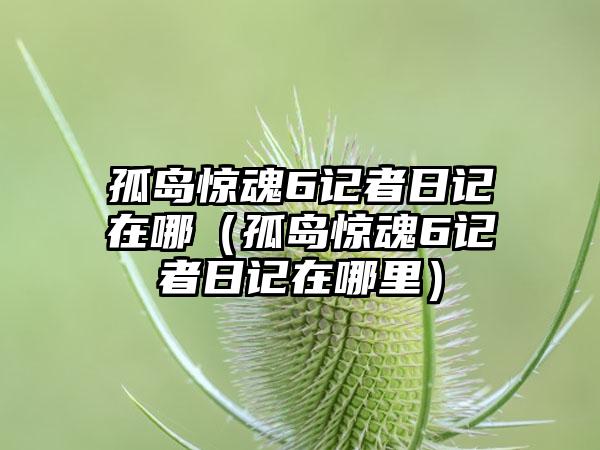 孤岛惊魂6记者日记在哪（孤岛惊魂6记者日记在哪里）