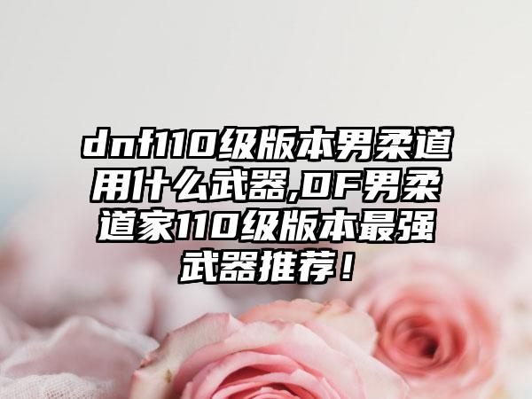 dnf110级版本男柔道用什么武器,DF男柔道家110级版本最强武器推荐！