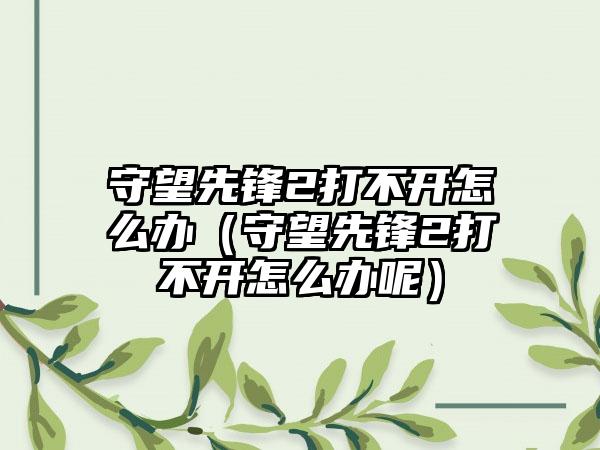 守望先锋2打不开怎么办（守望先锋2打不开怎么办呢）