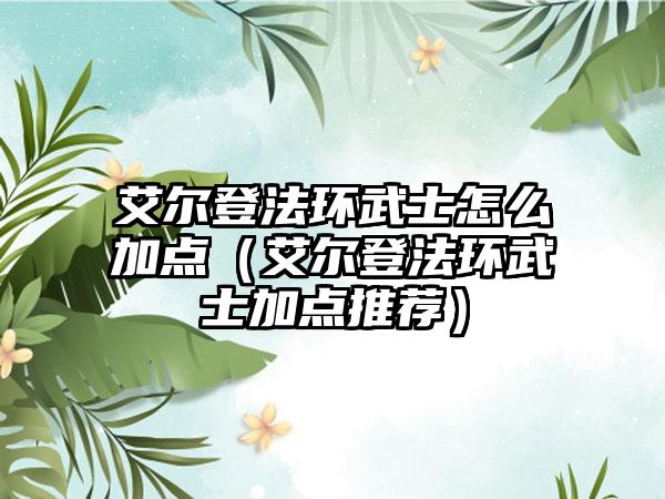 艾尔登法环武士怎么加点（艾尔登法环武士加点推荐）