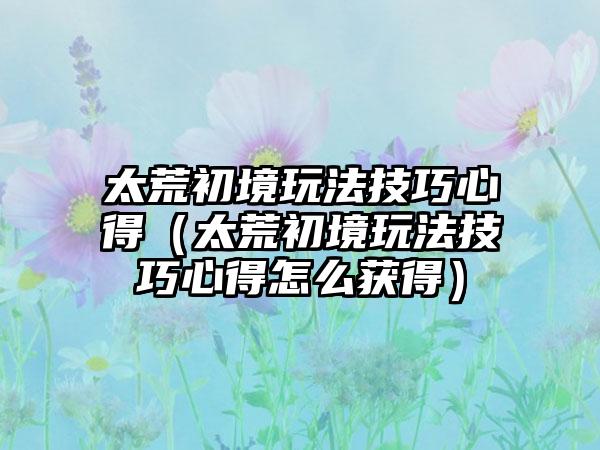 太荒初境玩法技巧心得（太荒初境玩法技巧心得怎么获得）