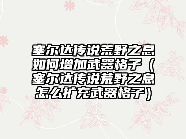 塞尔达传说荒野之息如何增加武器格子（塞尔达传说荒野之息怎么扩充武器格子）