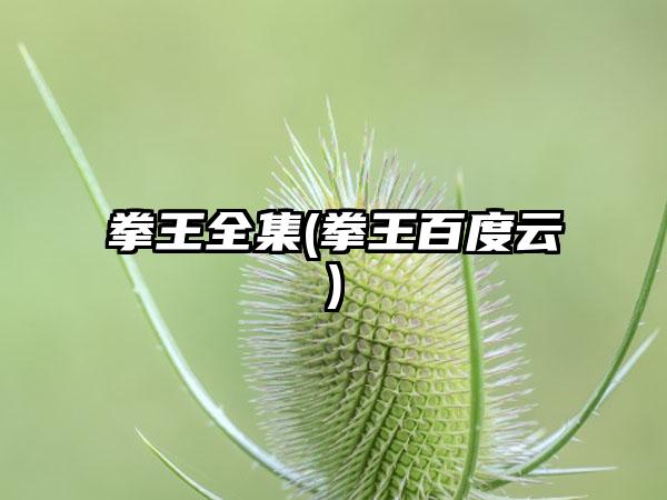 拳王全集(拳王百度云)