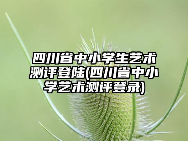 四川省中小学生艺术测评登陆(四川省中小学艺术测评登录)