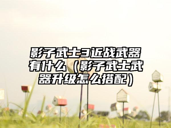 影子武士3近战武器有什么（影子武士武器升级怎么搭配）