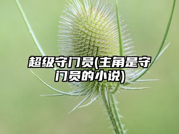 超级守门员(主角是守门员的小说)