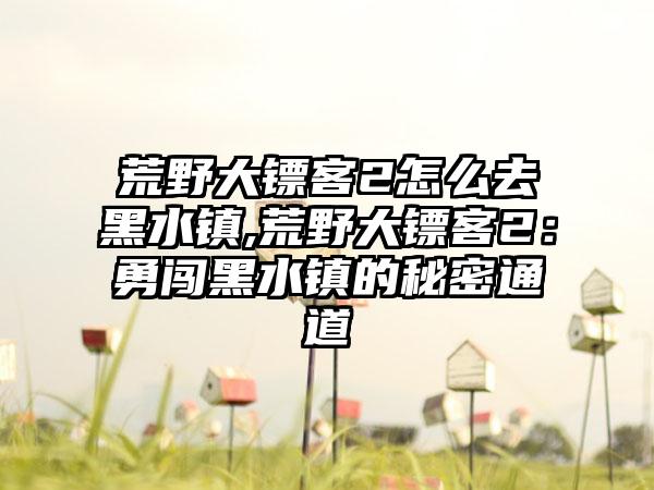 荒野大镖客2怎么去黑水镇,荒野大镖客2：勇闯黑水镇的秘密通道