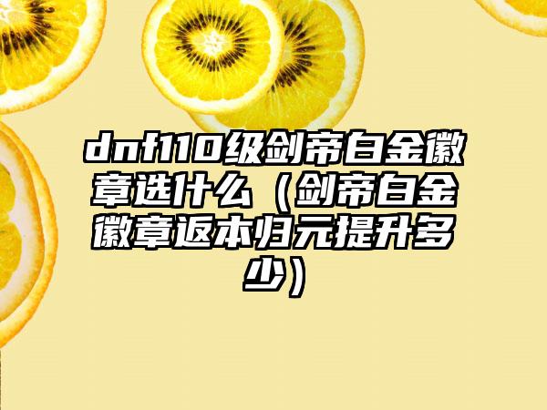 dnf110级剑帝白金徽章选什么（剑帝白金徽章返本归元提升多少）