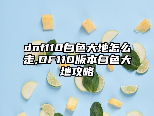 dnf110白色大地怎么走,DF110版本白色大地攻略