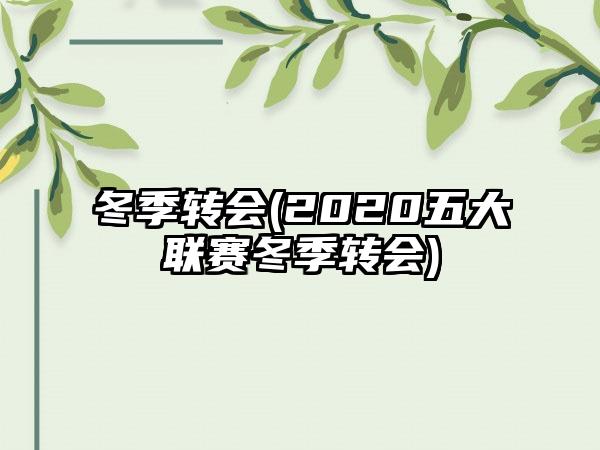 冬季转会(2020五大联赛冬季转会)