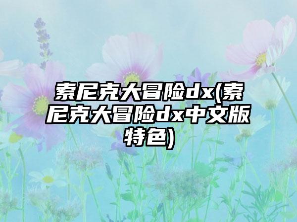 索尼克大冒险dx(索尼克大冒险dx中文版特色)