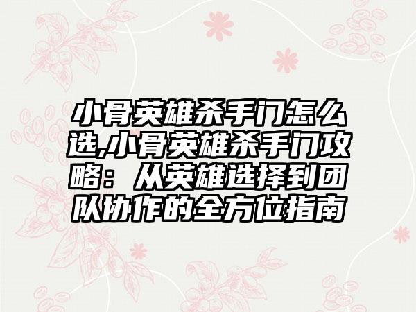 小骨英雄杀手门怎么选,小骨英雄杀手门攻略：从英雄选择到团队协作的全方位指南