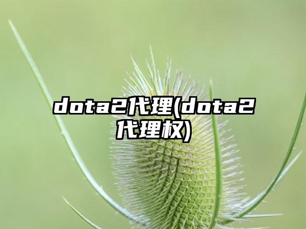 dota2代理(dota2代理权)