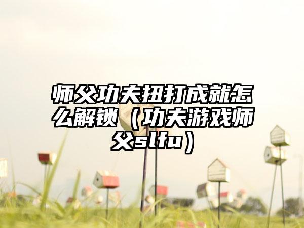 师父功夫扭打成就怎么解锁（功夫游戏师父slfu）