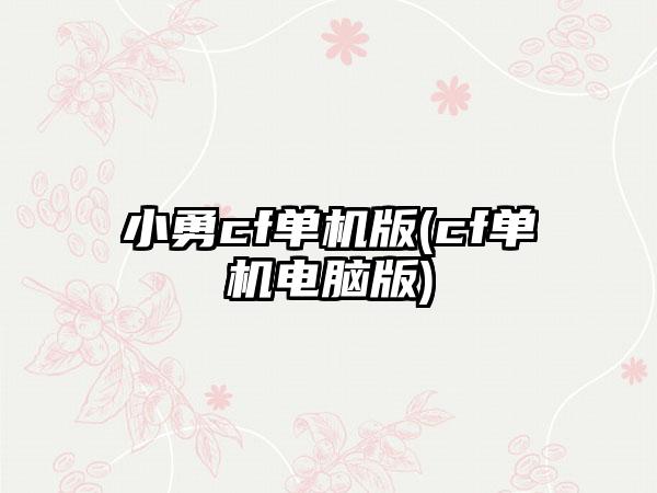 小勇cf单机版(cf单机电脑版)