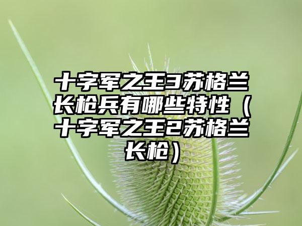 十字军之王3苏格兰长枪兵有哪些特性（十字军之王2苏格兰长枪）