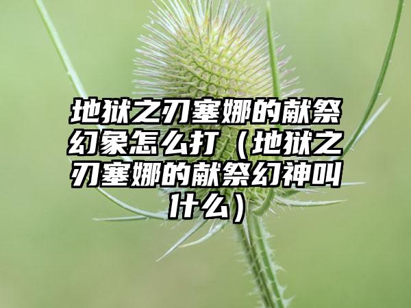 地狱之刃塞娜的献祭幻象怎么打（地狱之刃塞娜的献祭幻神叫什么）