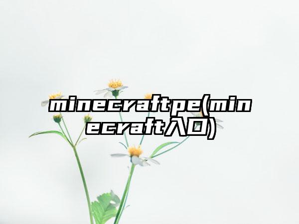 minecraftpe(minecraft入口)