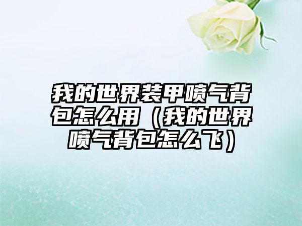 我的世界装甲喷气背包怎么用（我的世界喷气背包怎么飞）