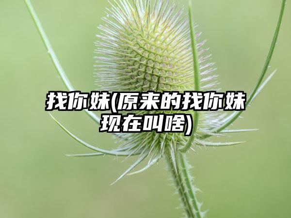 找你妹(原来的找你妹现在叫啥)