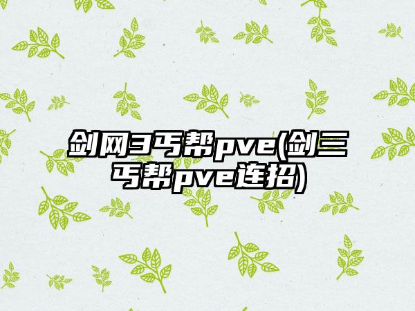 剑网3丐帮pve(剑三丐帮pve连招)